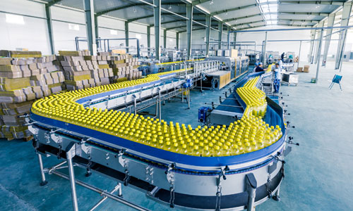 Fasteners for Food and Beverage Processing Industry